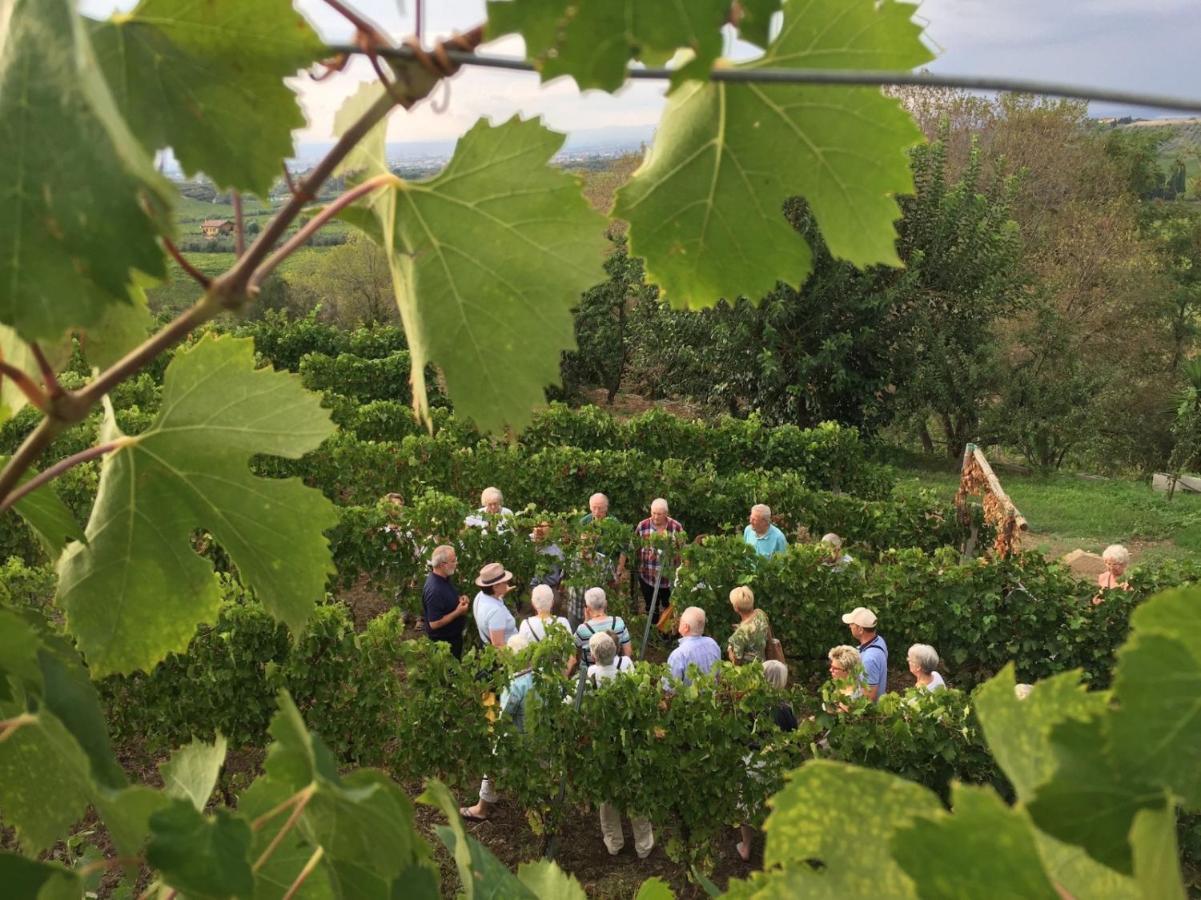 Merumalia Wine Resort Frascati Esterno foto