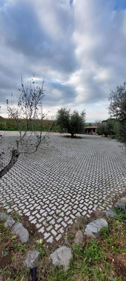 Merumalia Wine Resort Frascati Esterno foto