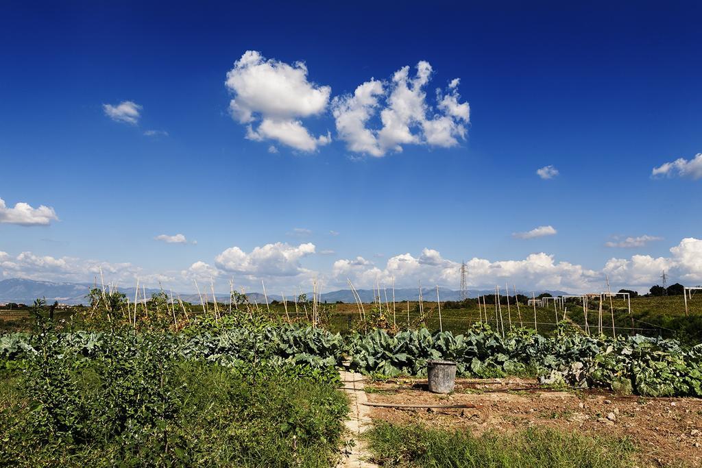 Merumalia Wine Resort Frascati Esterno foto