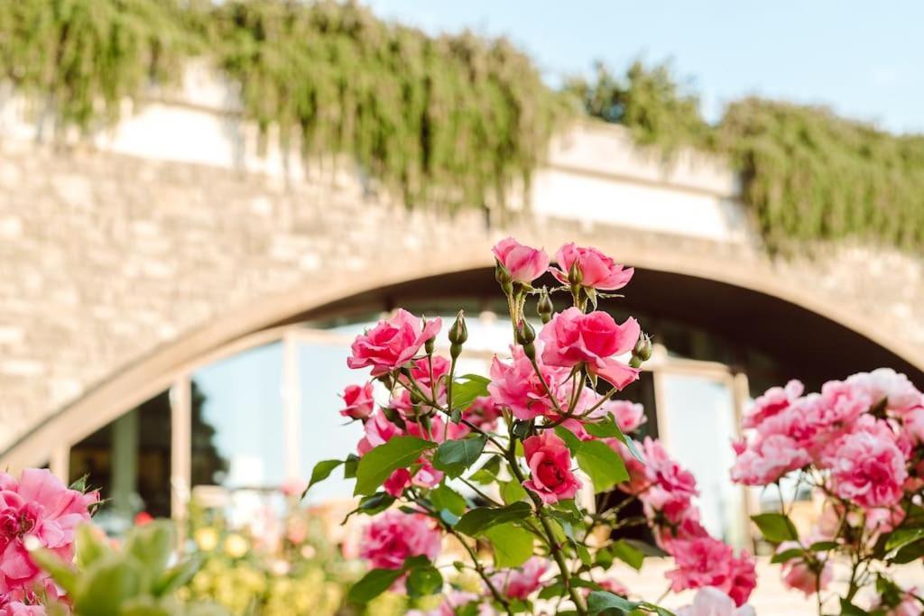 Merumalia Wine Resort Frascati Esterno foto