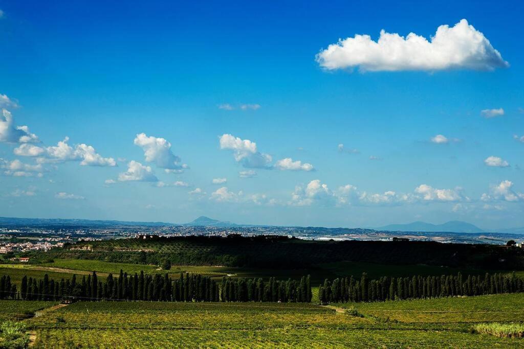 Merumalia Wine Resort Frascati Esterno foto