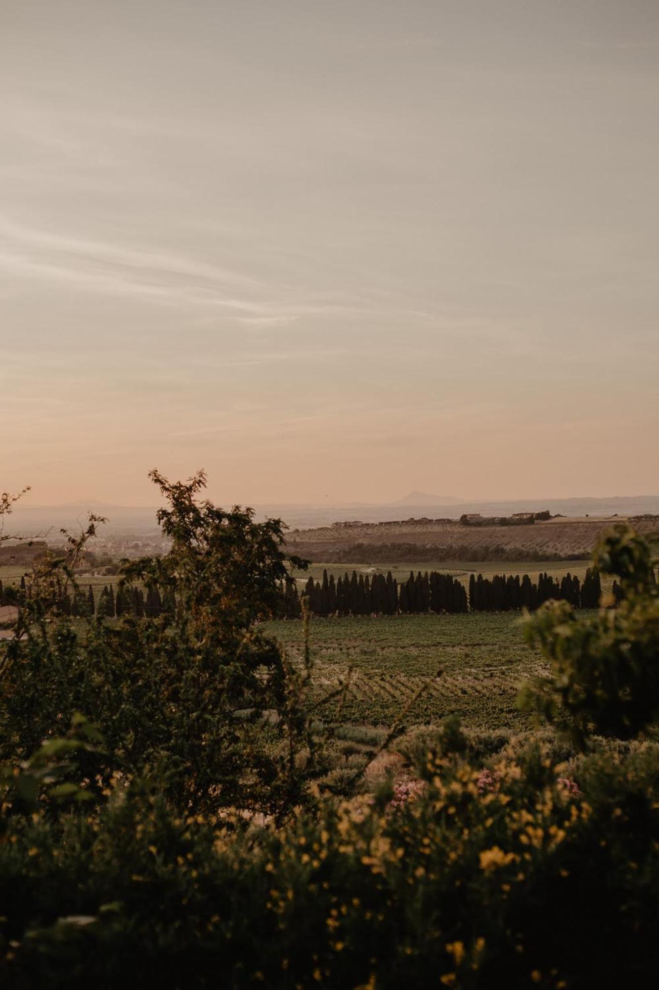 Merumalia Wine Resort Frascati Esterno foto