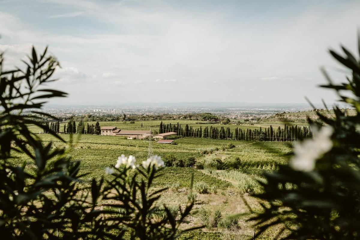 Merumalia Wine Resort Frascati Esterno foto