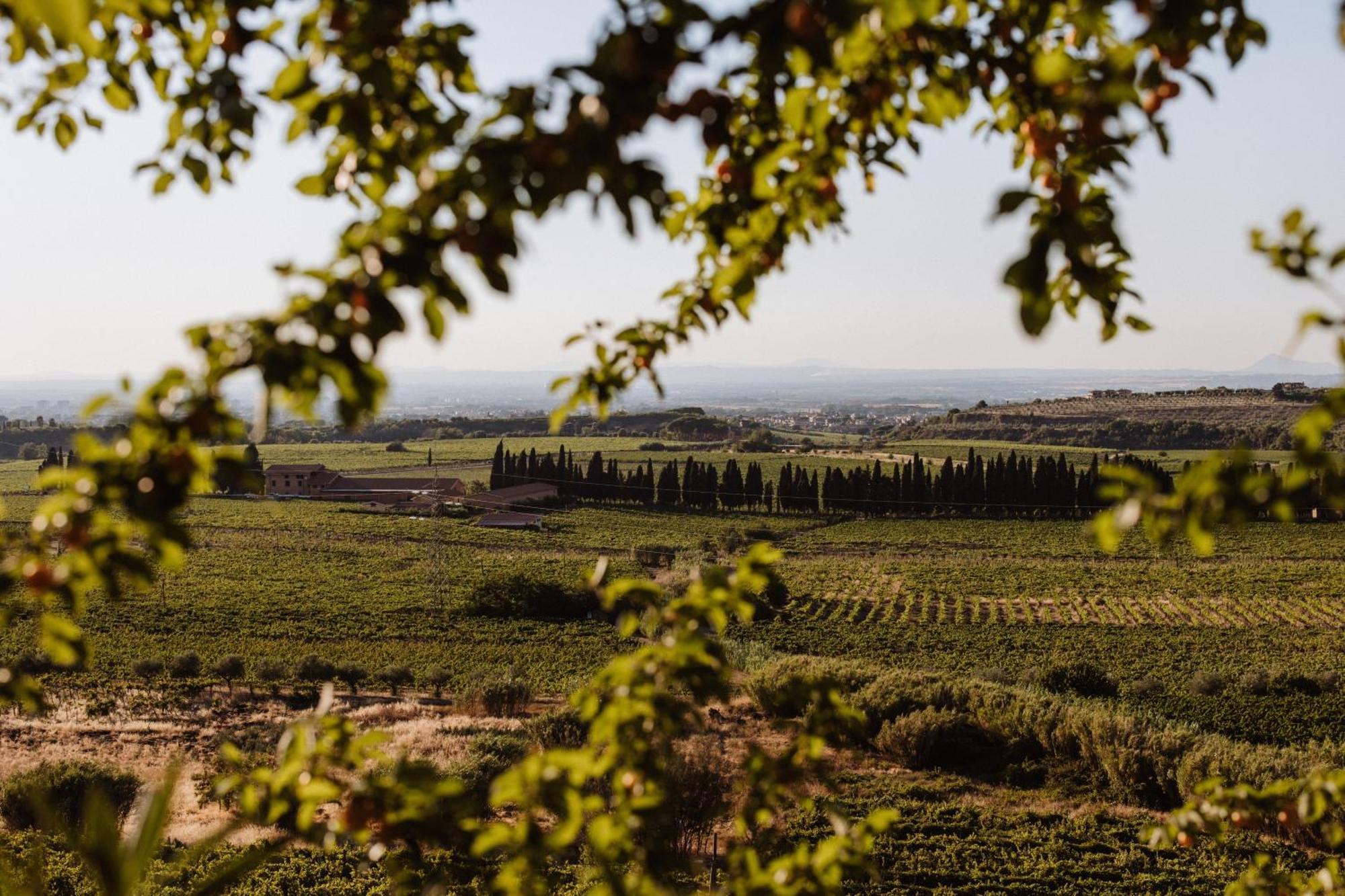 Merumalia Wine Resort Frascati Esterno foto